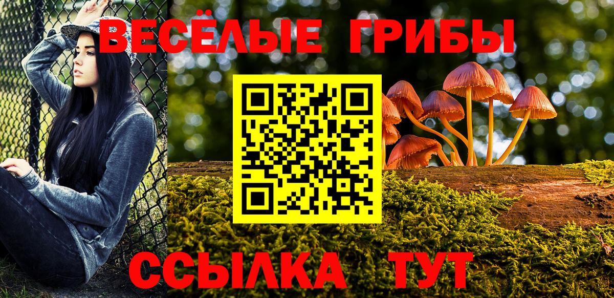 Галлюциногенные грибы Psilocybine cubensis Соликамск